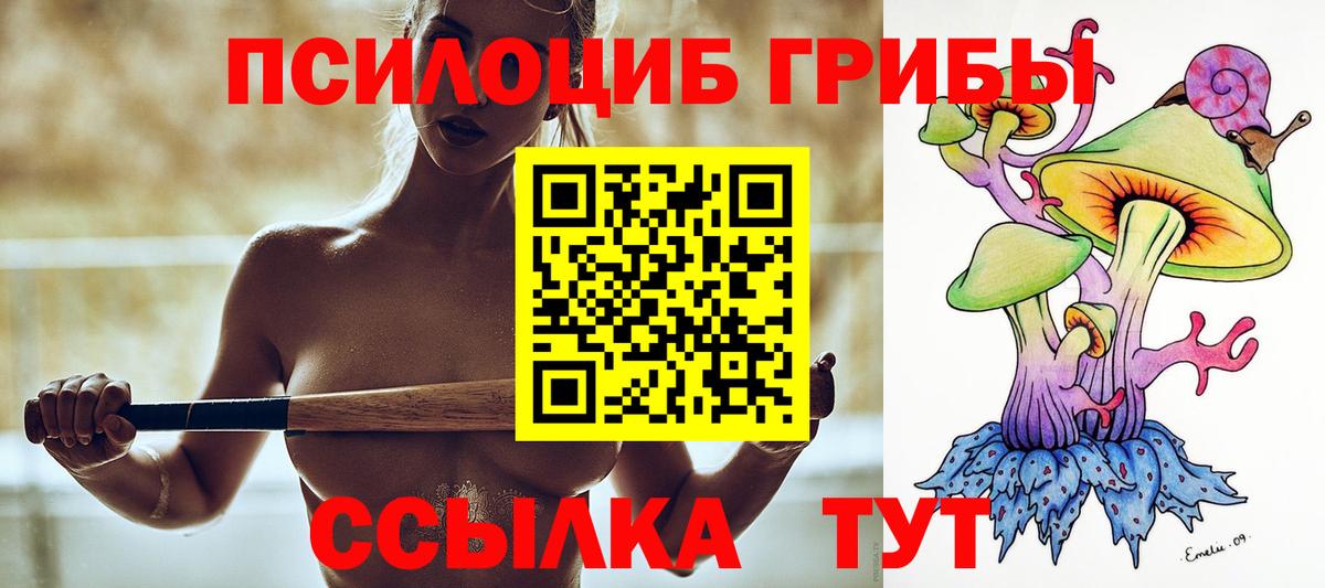 Сегежа  Галлюциногенные грибы ЛСД  Галлюциногенные грибы мухоморы  Вход с VPN 